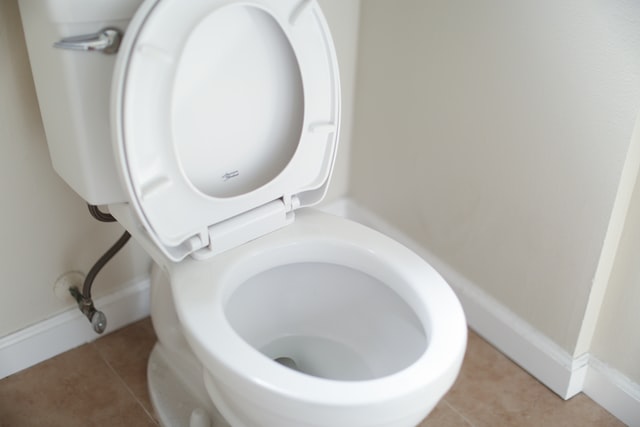 toilet not flushing