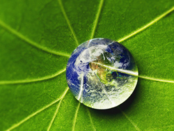 World Environment Day