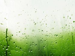 humid