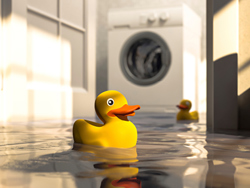 rubber ducky