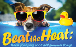 beat the heat