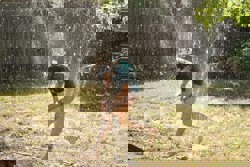 sprinkler