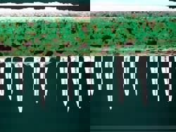 frozen pipes