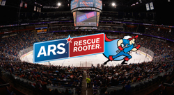 solar bears