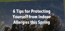 VIDEO: 6 Tips for Protecting Yourself from Indoor Allergies this Spring