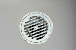 shower drain